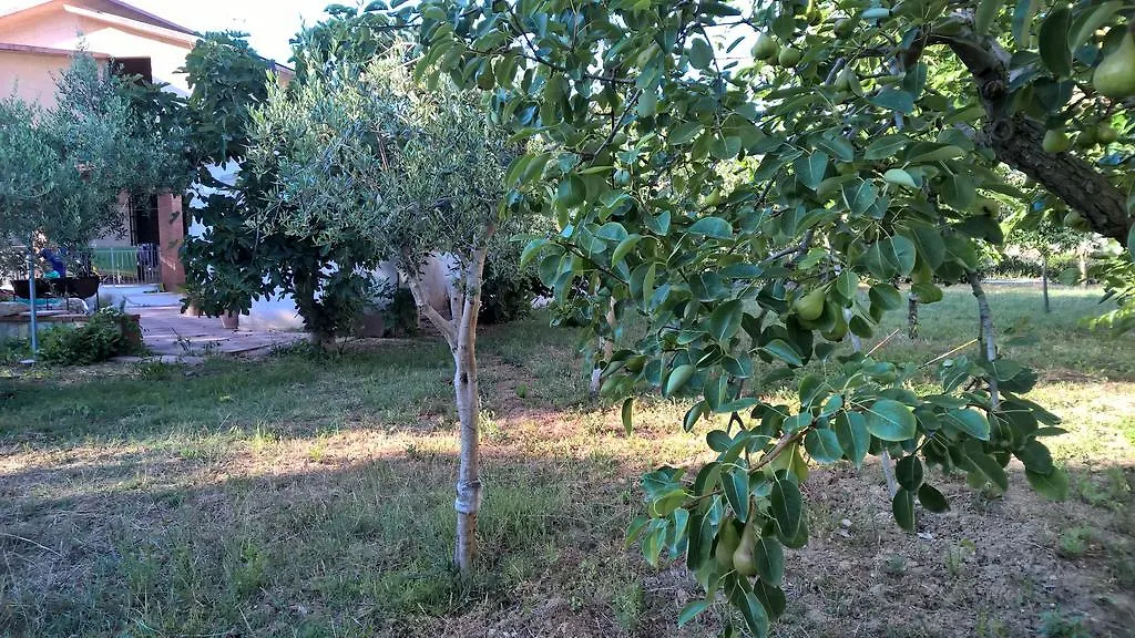 Casa Vacanza Summertime Mazara del Vallo Guest house