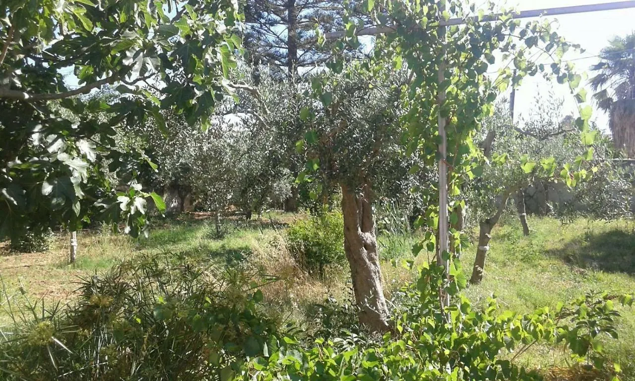 Guest house Casa Vacanza Summertime Mazara del Vallo